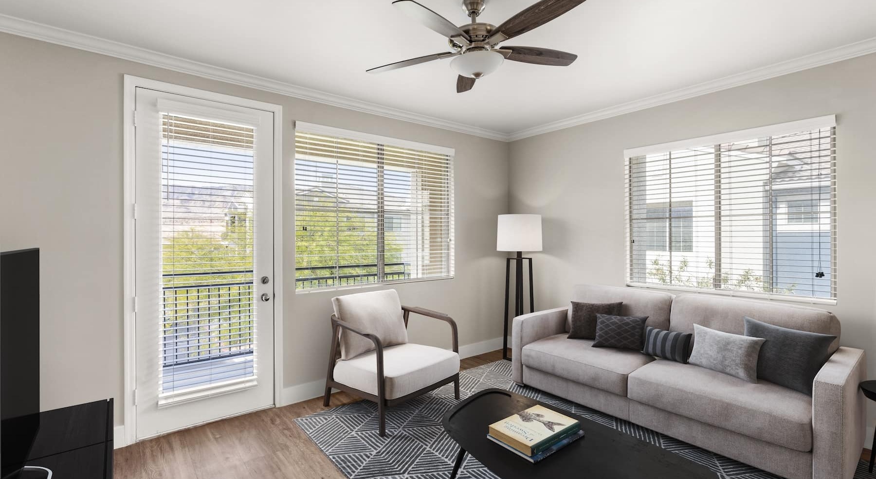 living room with natural lighting