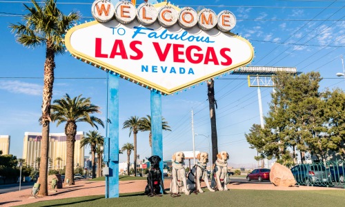 Four Labrador Retriever dogs sitting under Welcome to Las Vegas Sign